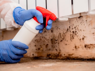 Mold services